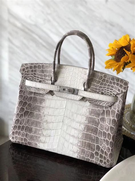 hermès birkin coccodrillo prezzo|hermes himalayan birkin bag.